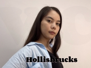 Hollisbrucks