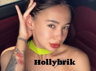 Hollybrik