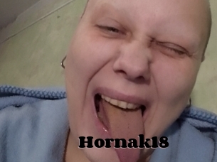 Hornak18