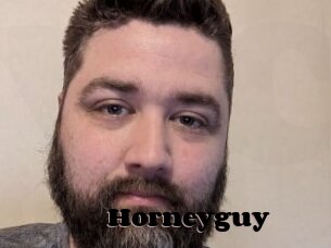 Horneyguy