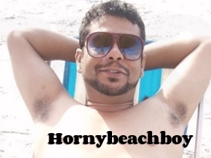 Hornybeachboy