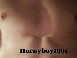 Hornyboy2002