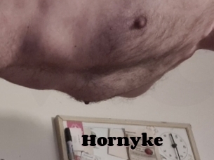 Hornyke