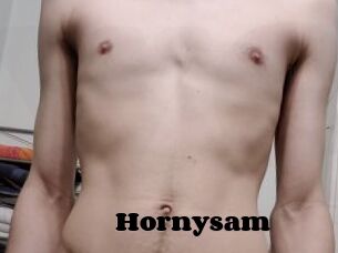 Hornysam