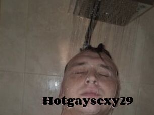 Hotgaysexy29