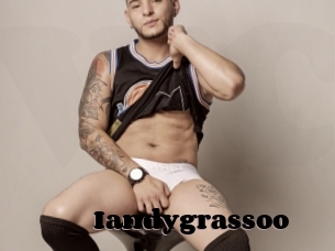 Iandygrassoo