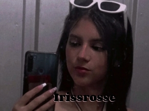 Irissrosse