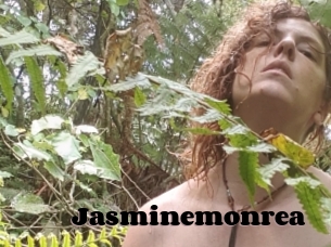 Jasminemonrea