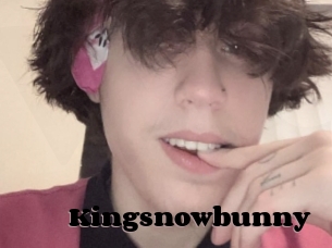 Kingsnowbunny