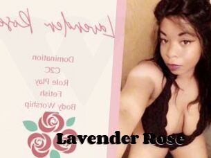 Lavender_Rose