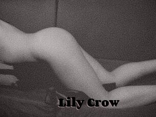 Lily_Crow