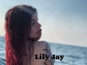 Lily_Jay