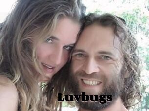 Luvbugs