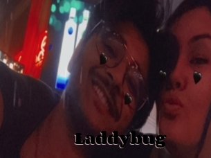 Laddybug