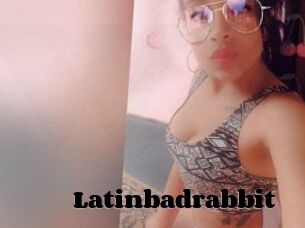 Latinbadrabbit