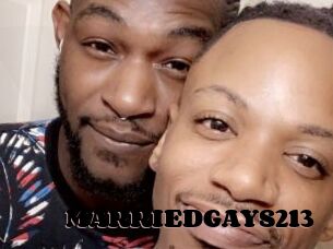 MARRIEDGAYS213