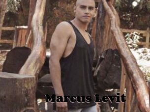 Marcus_Levit