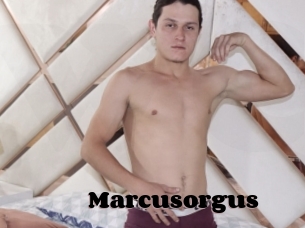 Marcusorgus