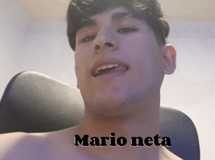 Mario_neta