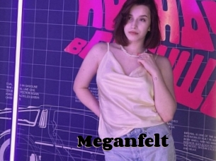 Meganfelt