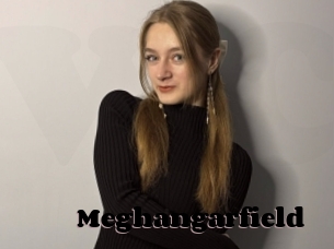 Meghangarfield