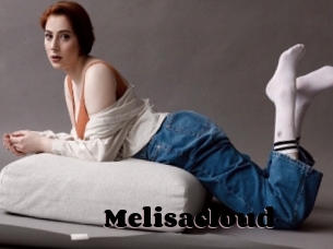 Melisacloud