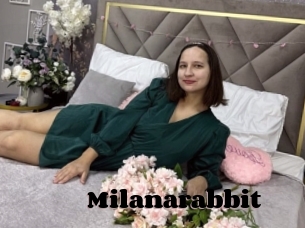 Milanarabbit