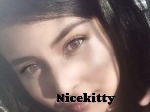 Nicekitty