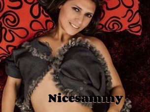 Nicesammy