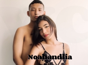 Noahandlia