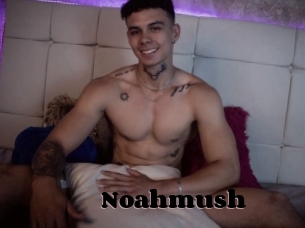 Noahmush