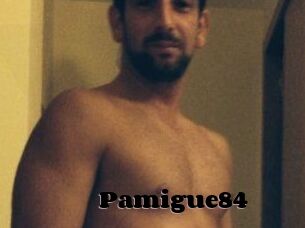 Pamigue84