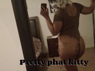 Pretty_phat_kitty