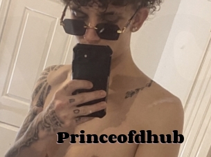 Princeofdhub