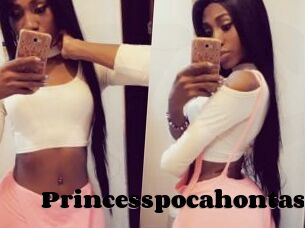 Princesspocahontas