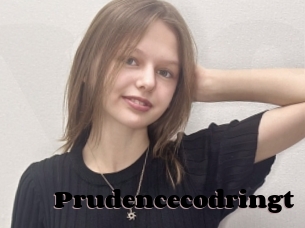 Prudencecodringt