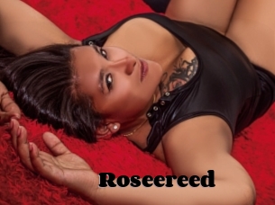 Roseereed