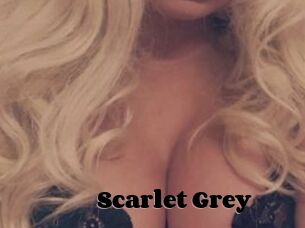 Scarlet_Grey