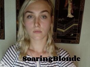 SoaringBlonde