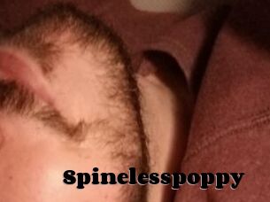 Spinelesspoppy