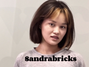 Sandrabricks