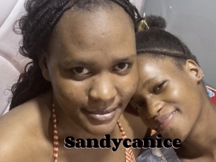 Sandycanice