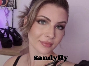 Sandyfly