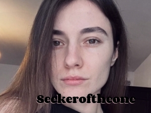 Seekeroftheone