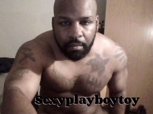 Sexyplayboytoy