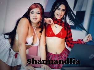 Shannandlia