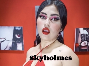 Skyholmes