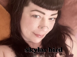 Skylar_bird