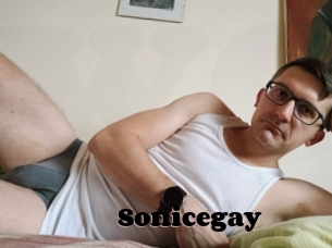 Sonicegay