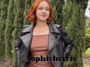 Sophicherrie